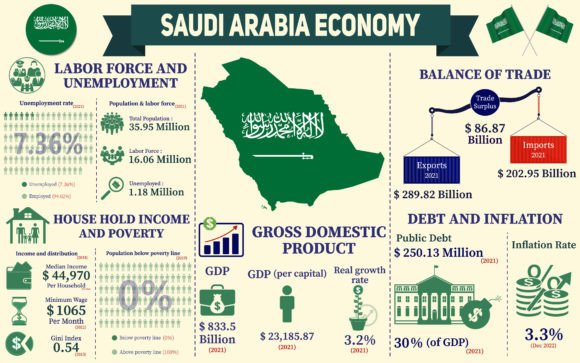 Visualizing Saudi Arabia's Dynamic Economy